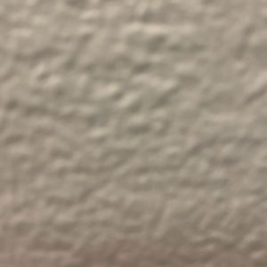 Meet your Posher, Mia